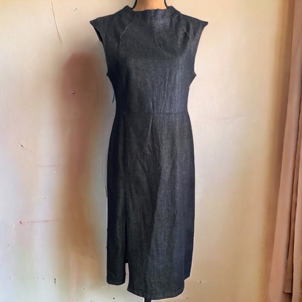 Zara Basic Denim Couture Dress